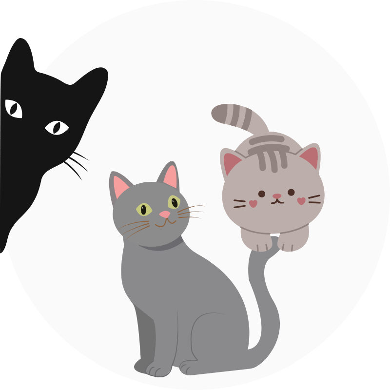 Gatos