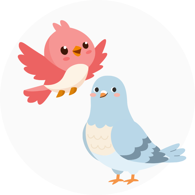 Pájaros