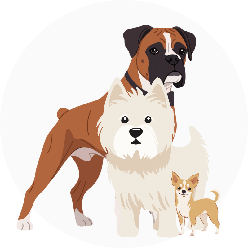 Perros